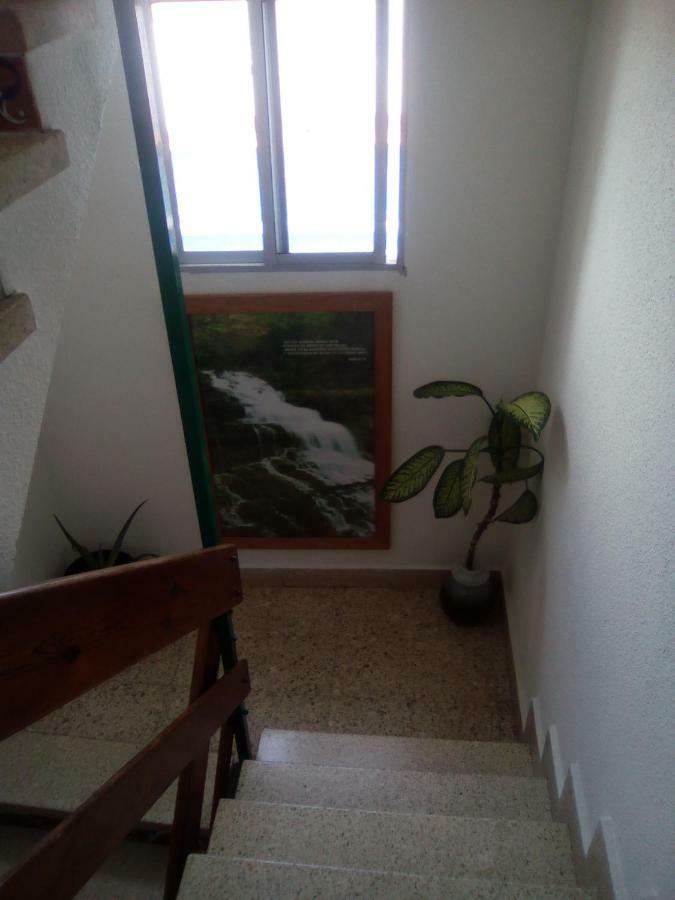8 Calle Tangara La Gloria Σάντα Κρουζ Τενερίφης Εξωτερικό φωτογραφία